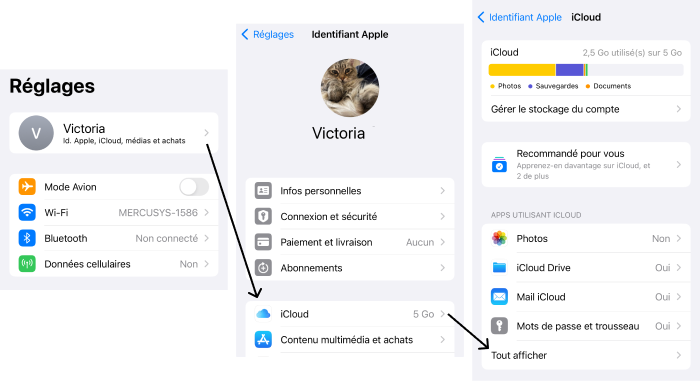 Données synchronisées avec iCloud sous iOS 17