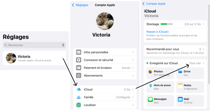 Données synchronisées avec iCloud sous iOS 18