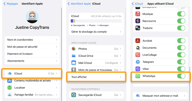 Vérifiez que WhatsApp est synchronisé avec icloud
