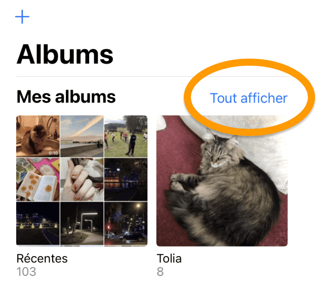 Tout afficher pour voir tous les albums sous ios 16