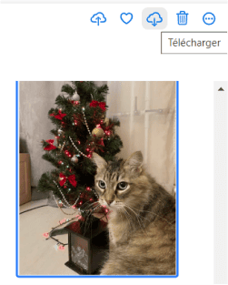 Télécharger une photo ou une vidéo sur icloud.com