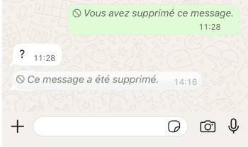 Aperçu des messages supprimés dans WhatsApp