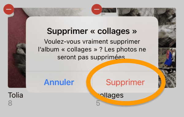 Confirmez la suppression de l'album