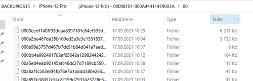 fichiers de sauvegarde iPhone sur PC