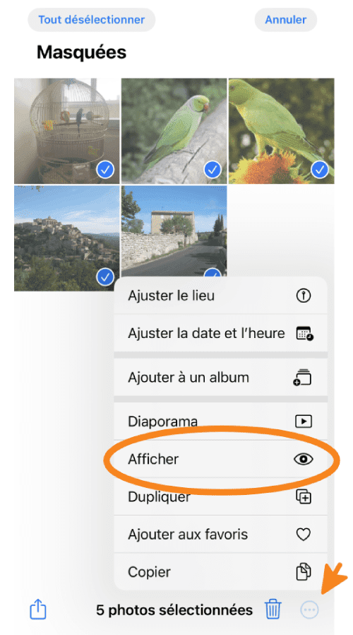 Sélectionnez Plus puis Afficher pour retrouver les photos dans la Pellicule