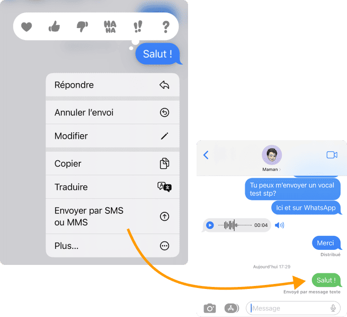 Passez de iMessage à SMS en pressant le message puis envoyer en SMS