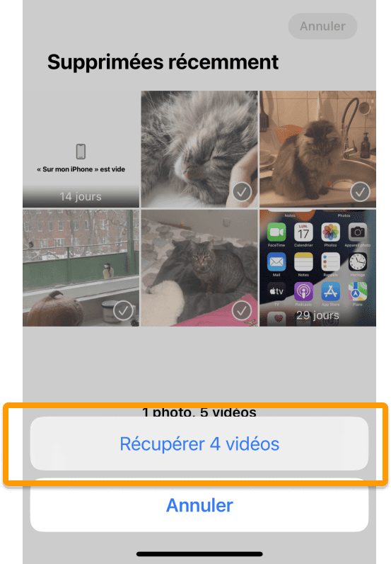 Confirmer les récupérations des vidéos supprimées iPhone