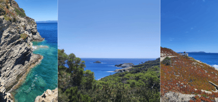 Vous savez désormais faire un collage photo iphone