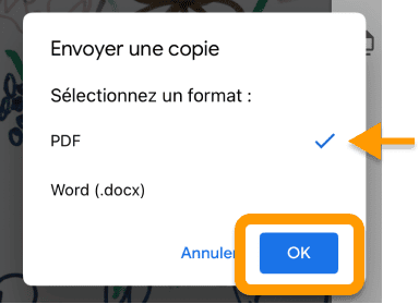 Confirmez le format PDF
