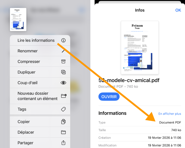Maintenez appuyé puis sélectionnez Lire les informations pour vérifier le format
